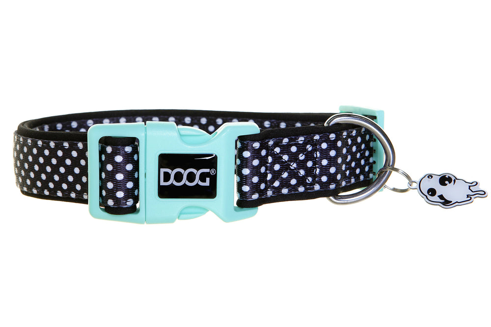 Schwarz-weiß gepunktetes Neopren-Hundehalsband mit mintgrünem Verschluss und D-Ring für Leine und ID-Tags.