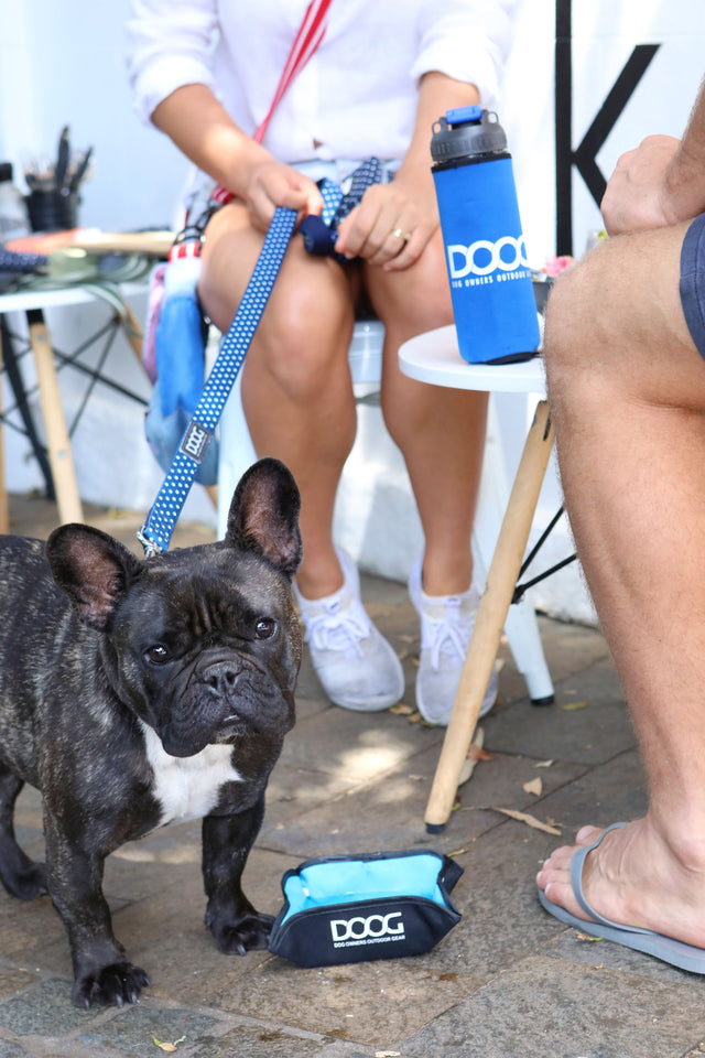 DOOG 3-in-1 Wasser Flasche