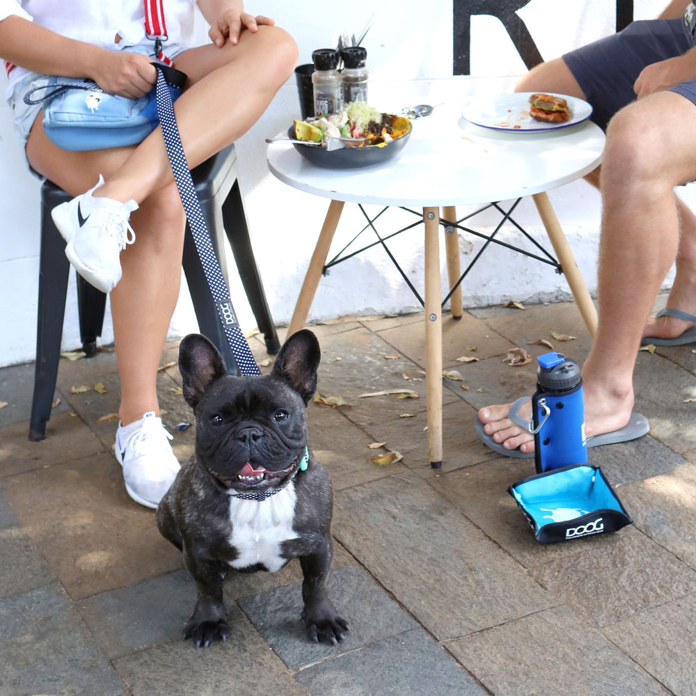 "Französische Bulldogge mit DOOG Neopren-Leine in einem gemütlichen Café mit Personen und Essen im Hintergrund."