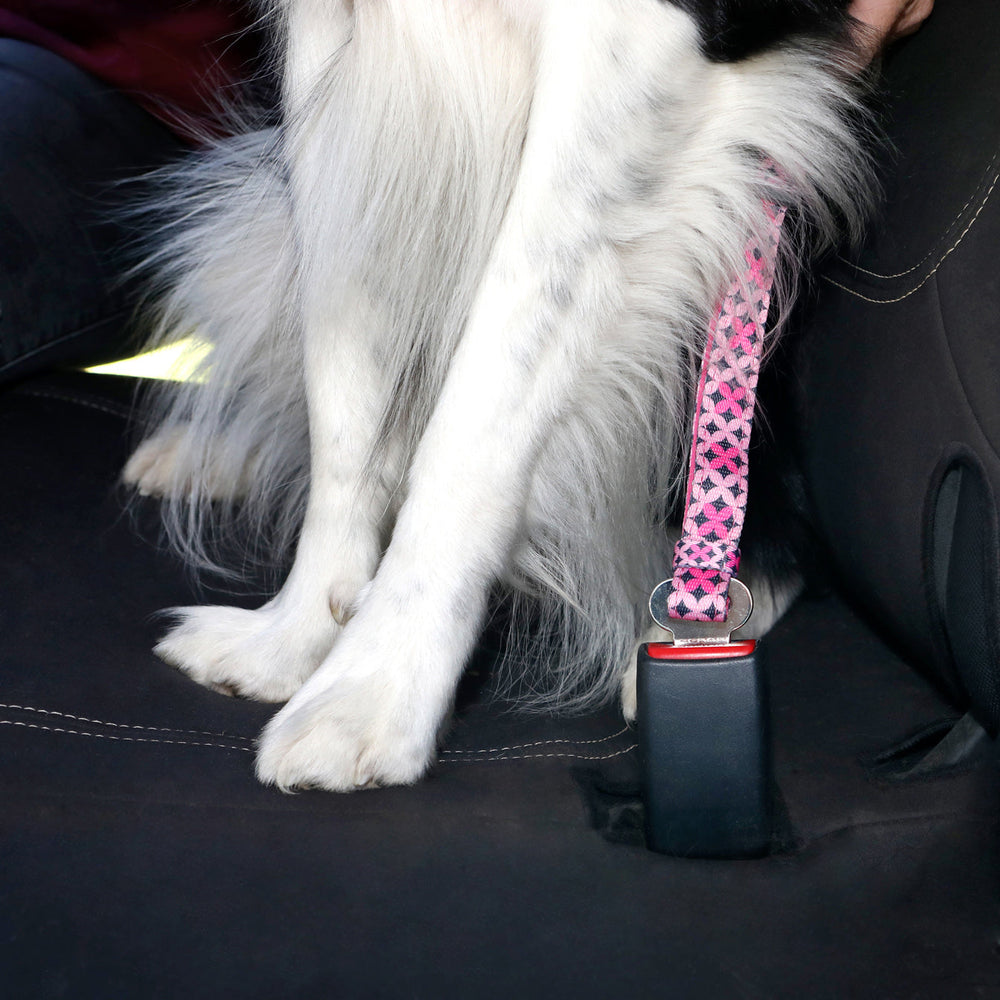 Hund im Auto mit pinkem Geschirr, sicher am Sicherheitsgurt befestigt, bereit für eine Fahrt.