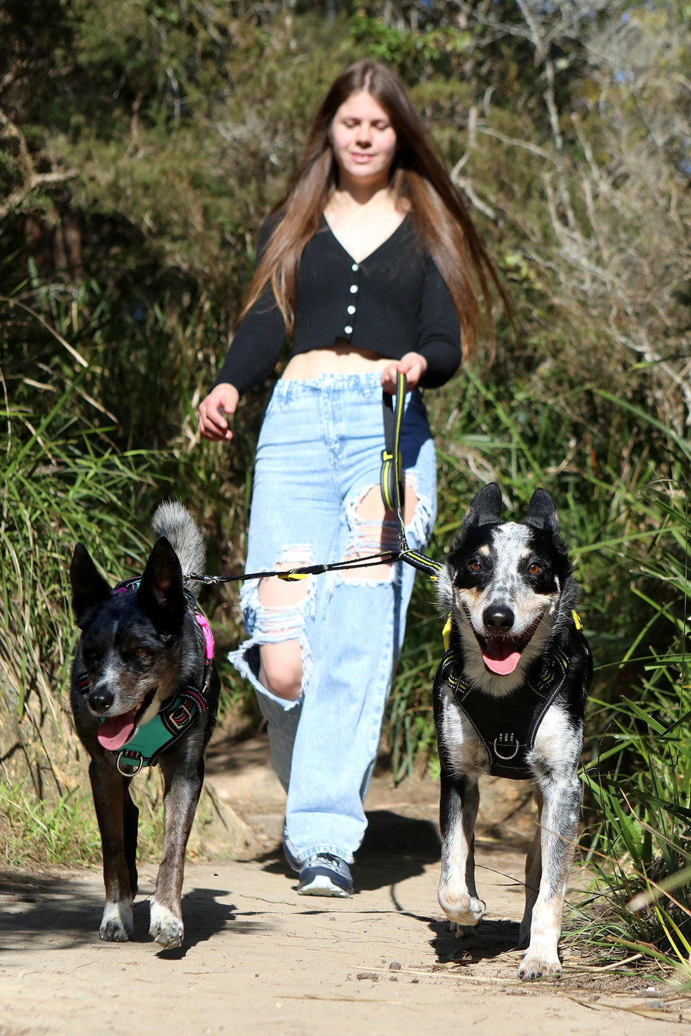 Junge Frau mit zerrissenen Jeans und schwarzem Oberteil spaziert mit zwei Hunden an der DOOG Dual Walker Leine.