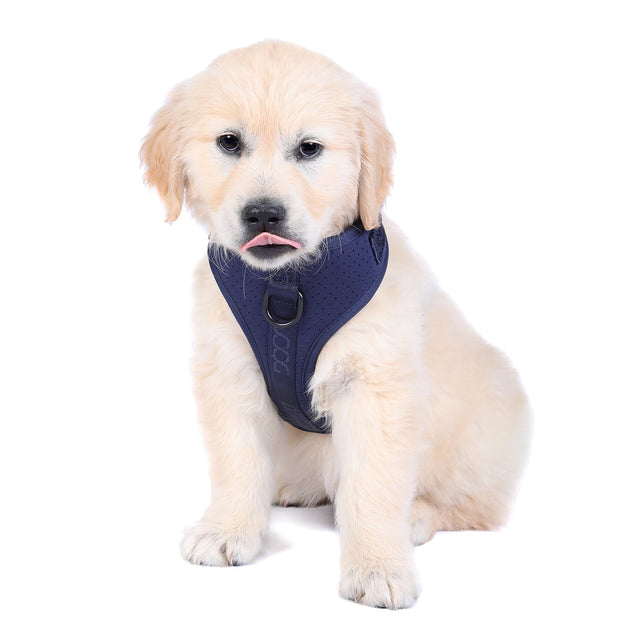 Neosport Hundegeschirr
