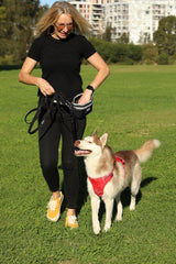 Frau mit Husky im Park, sie trägt schwarzes Outfit und gelbe Sneakers, der Hund hat rotes Geschirr an.