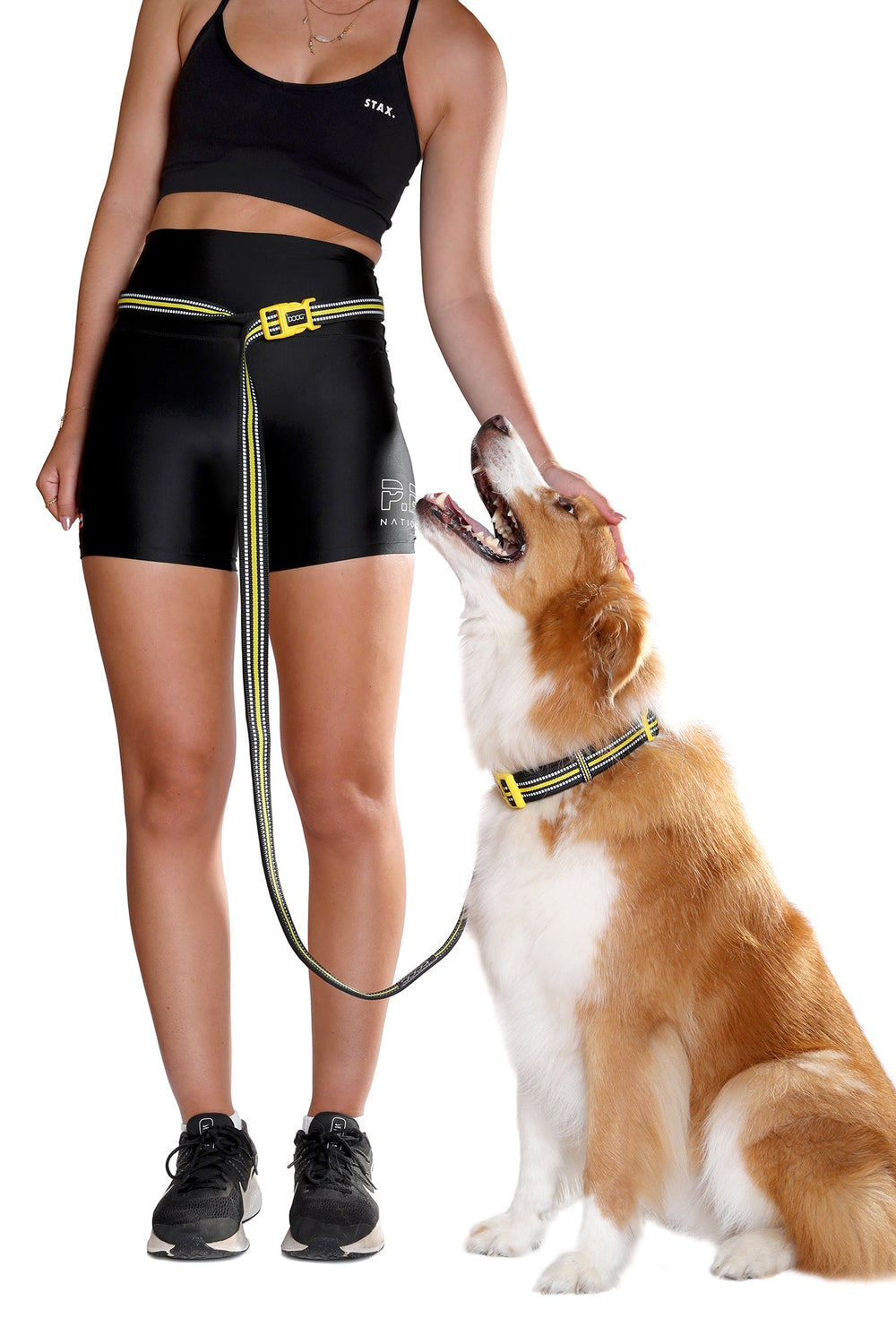 Freihändige Clip-It Hundeleine: Sportliche Person mit freundlichem, hellbraun-weißem Hund im Freien.
