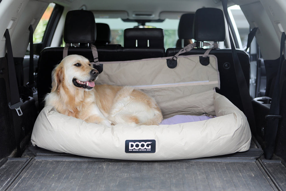 Golden Retriever liegt entspannt in beige Hundeautositz im Kofferraum eines Autos, umgeben von moderner Innenausstattung.