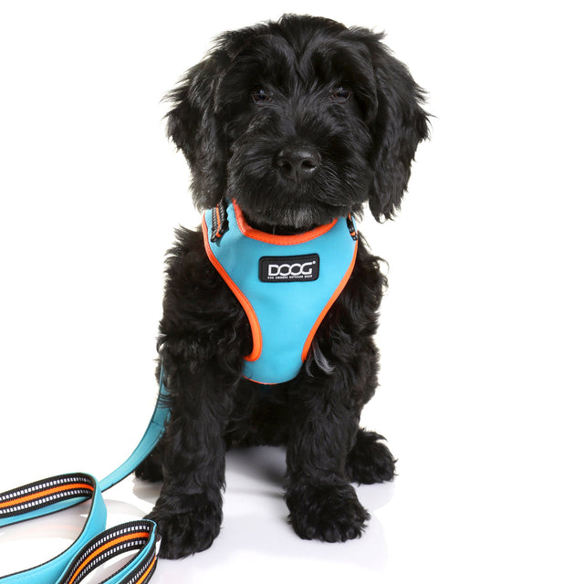 Neoflex Hundegeschirr