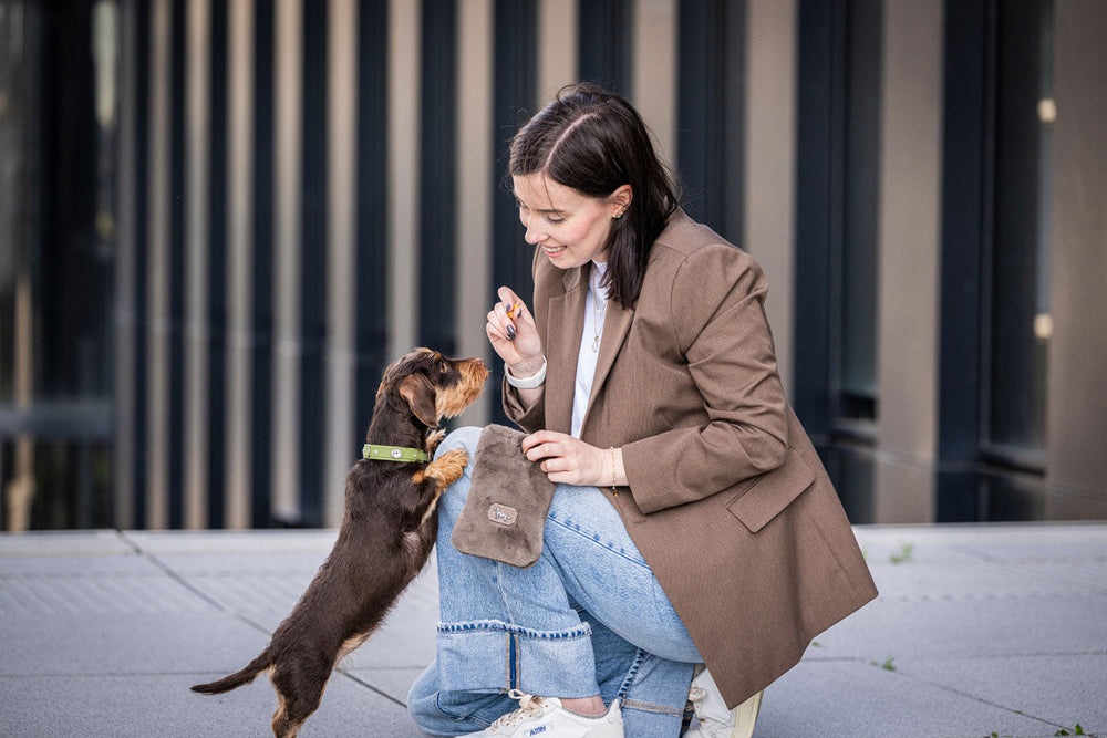 Frau im Blazer gibt kleinem Hund im urbanen Umfeld ein Leckerli und lächelt freundlich.