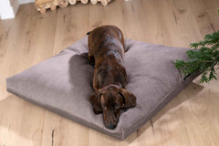 Hunde-Kissen BUFFALO L: Graues Hundekissen mit braunem gestromtem Hund, auf Holzboden und Tannenbaum-Hintergrund.