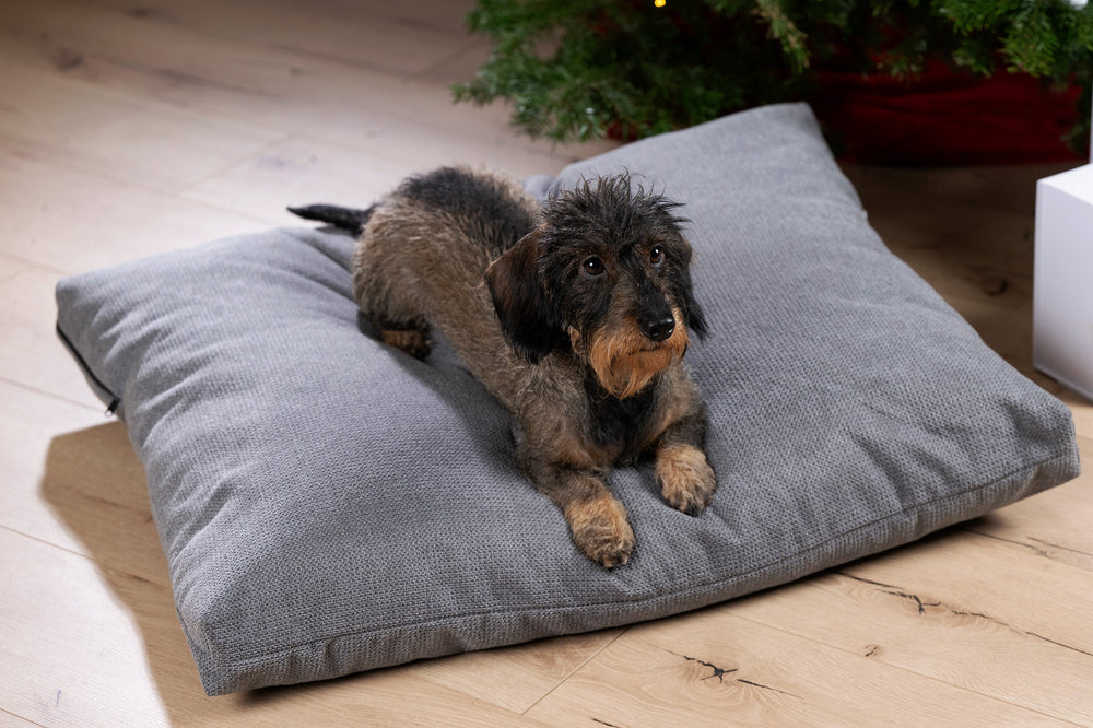 Hund auf grauem Hundekissen TUDOR mit Weihnachtsbaum im Hintergrund, ideal für gemütliche Wintertage.