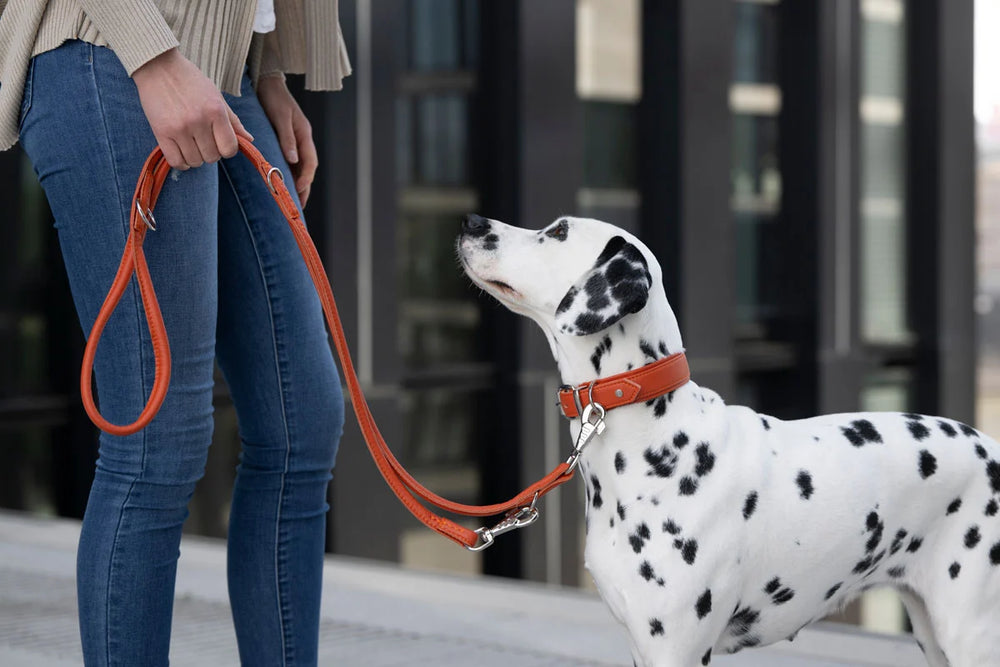 Leather leash round stitched 2m silver