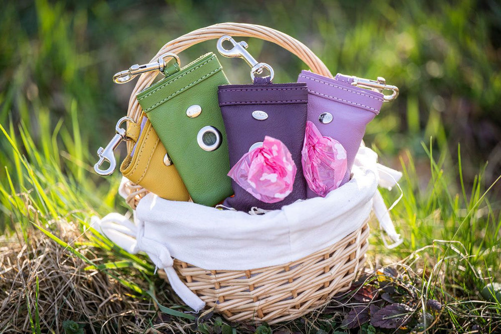 Bunter Korb mit Poo-Taschen in Grün, Gelb, Lila und Pink, umgeben von bunten Bonbons auf grünem Gras.