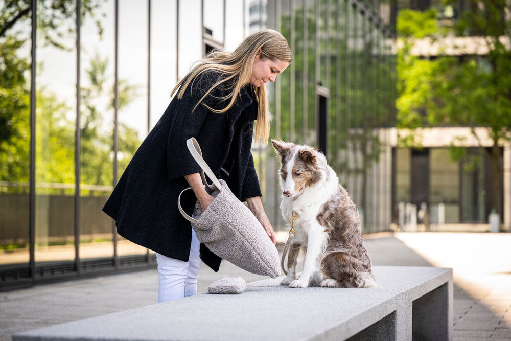 Frau im schwarzen Mantel beugt sich zu aufmerksamem Hund auf grauer Bank vor modernen Gebäuden und grünem Hintergrund.