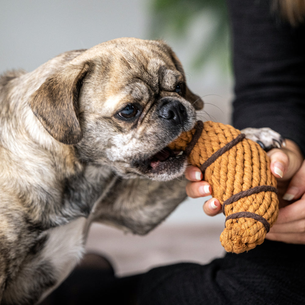 Gestromter Hund kaut begeistert auf braunem, geflochtenem Spielzeug in Hähnchenform.
