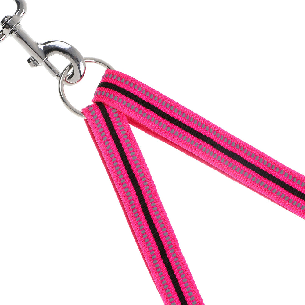 Pinke Hundeleine mit schwarz-grauen Streifen, robustes Material und metallischem Karabinerhaken für sichere Befestigung.