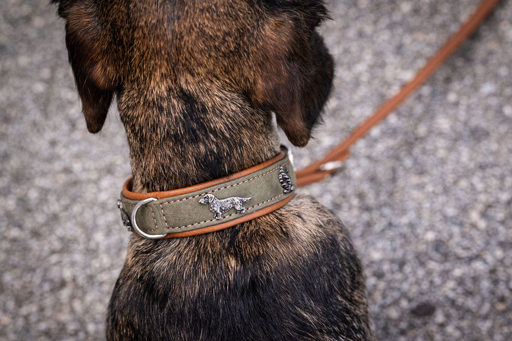 Braunes Lederhalsband mit grüner Stoffeinlage und silbernen Hundeanhängern für Dackel.