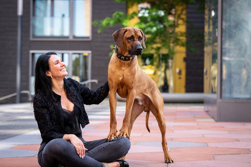 Frau mit schwarzer Jacke und braunem Hund im modernen Umfeld, sitzend und lächelnd, trägt Halsband Dark Diamond.