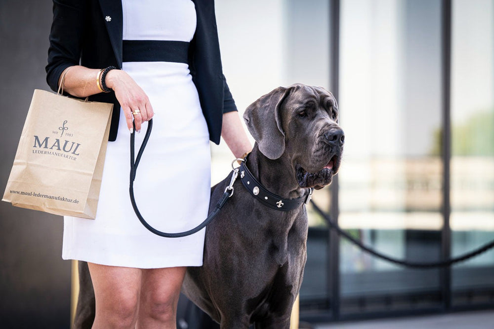 Frau im weißen Kleid mit Blazer führt großen Hund an Leine und hält Paperbag mit Lederwaren-Logo.
