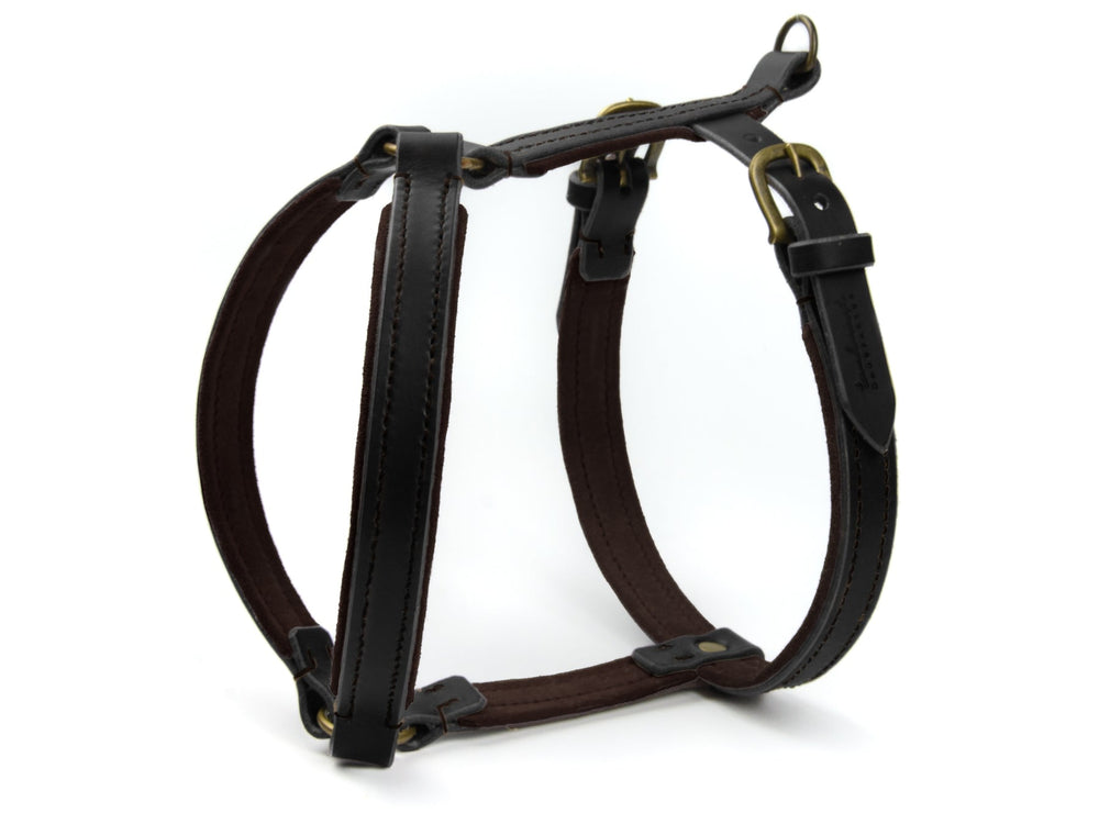 Hochwertiges braunes Ledergeschirr für Hunde mit schwarzen Akzenten und verstellbaren Riemen für optimale Sicherheit.