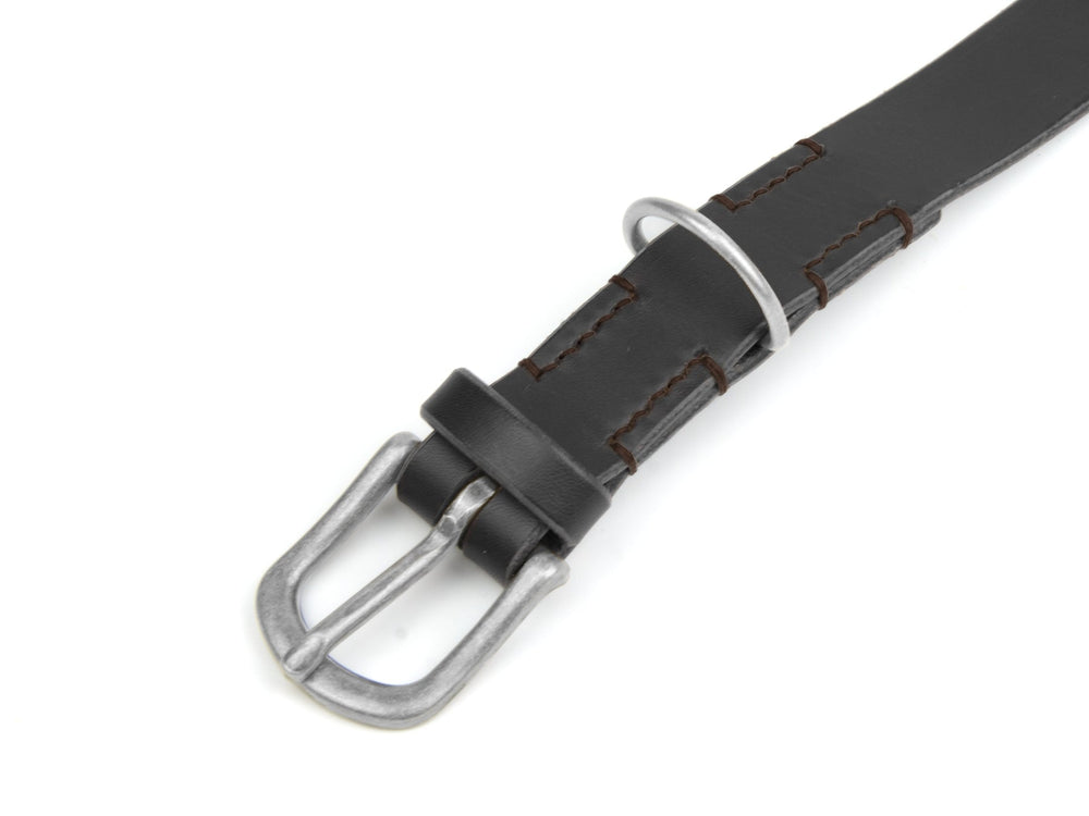 Schwarzes Lederhalsband mit silberner Schnalle, kontrastierenden braunen Nähten und einem zusätzlichen Schlaufenring.