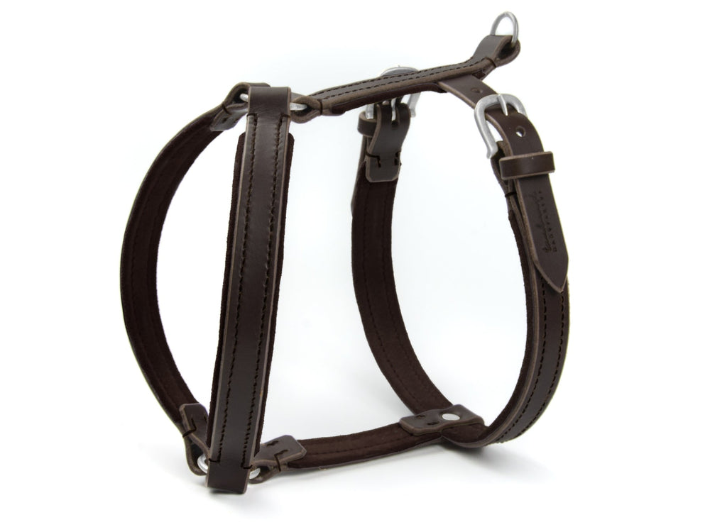 Braunes Ledergeschirr für Hunde von WILDFANG mit robusten Metallbeschlägen und gepolstertem Innenfutter.
