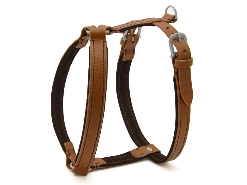 Braunes Ledergeschirr WILDFANG für Hunde, mit stabilen Riemen, Metallringen und Schnallen, robust und stilvoll.