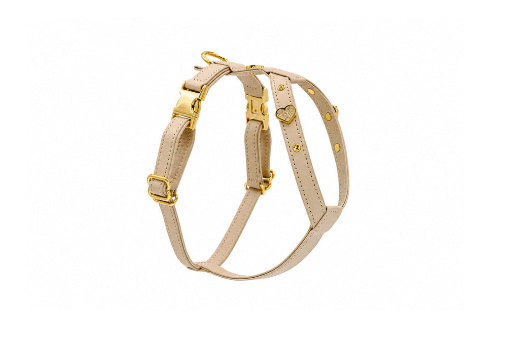 Beige Ledergeschirr für Hunde mit goldenen Beschlägen und herzförmigen Verzierungen, schlichtes und elegantes Design.