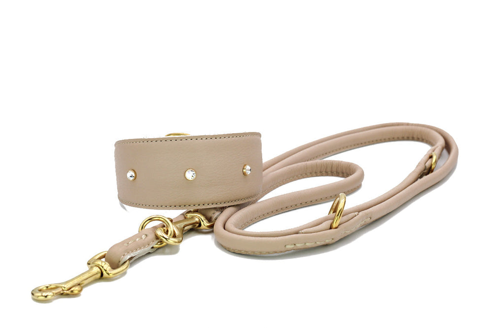 "Hellbraunes Lederhalsband für Windhunde mit goldenen Nieten und Karabiner, stilvolles Accessoire für Hundeliebhaber."