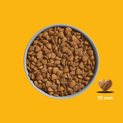 FELIA Premium Trockenfutter Huhn 2er Set für Katzen in Herzform auf gelbem Hintergrund, hohe Akzeptanz und natürliche Zutaten