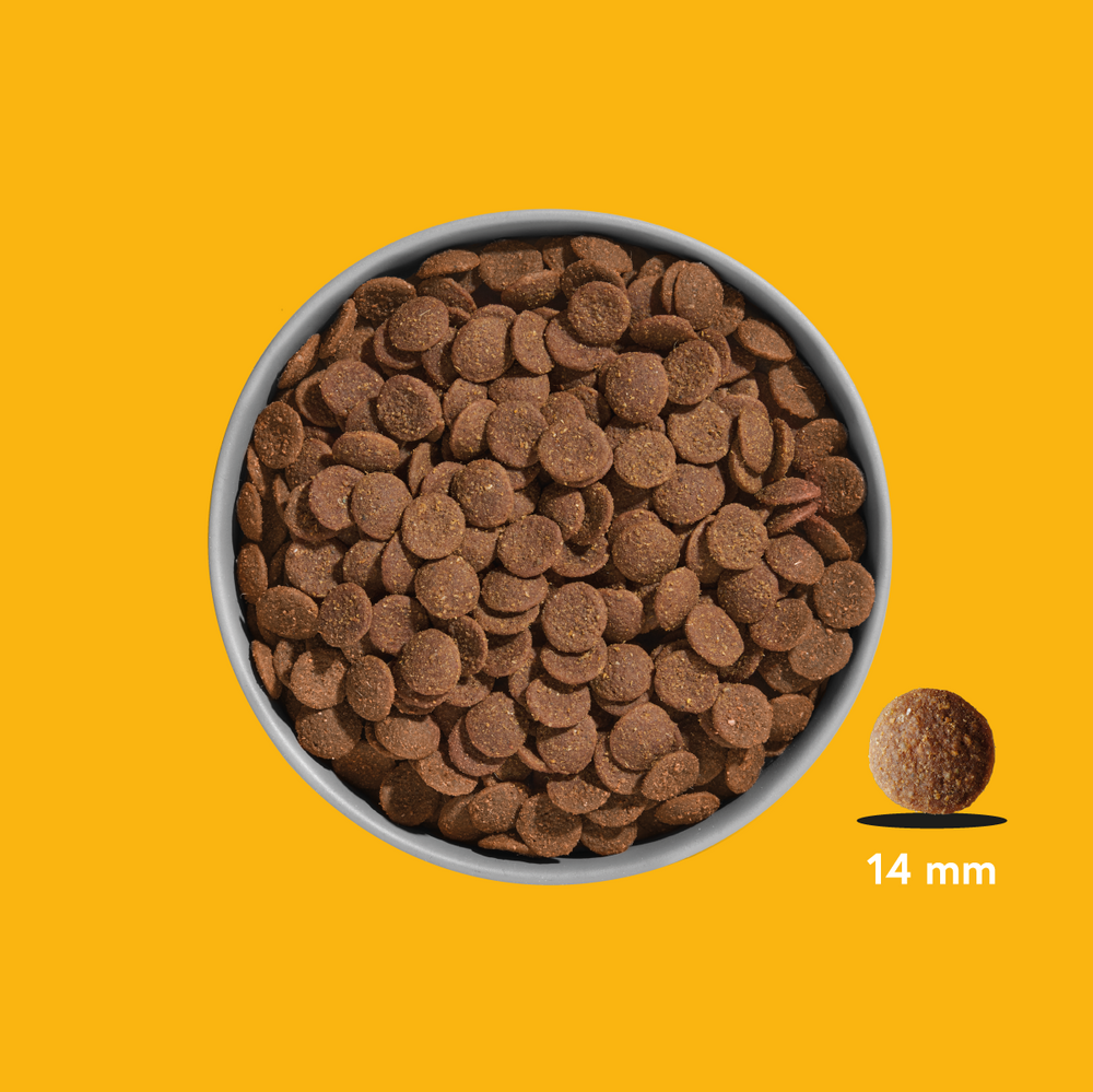 FRED Premium Trockenfutter Huhn in einer Schüssel mit braunen Pellets auf leuchtend gelbem Hintergrund, getreidefrei und prot