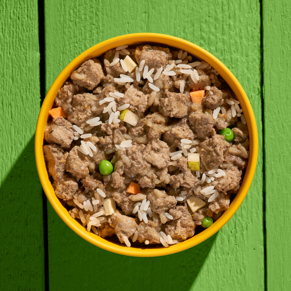 Vegane Hundenahrung GREEN PLANET Kein Huhn in Schüssel mit Reis und Gemüse auf grünem Untergrund, nährstoffreiche Alternative