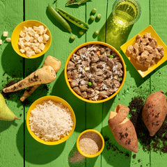 Vegane Hundefutteralternative GREEN PLANET Kein Huhn in einer bunten Schüssel mit Reis, Gemüse und Tofu auf grünem Tisch.