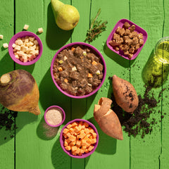 Vegane Hundefutteralternative GREEN PLANET Kein Pferd mit bunten Zutaten auf grünem Holztisch, gesund und umweltfreundlich.