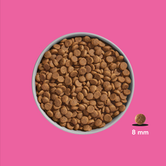 FRED Premium Trockenfutter JUNIOR Lamm für junge Hunde, getreidefrei, hohe Akzeptanz, feine Kroketten in Schüssel.