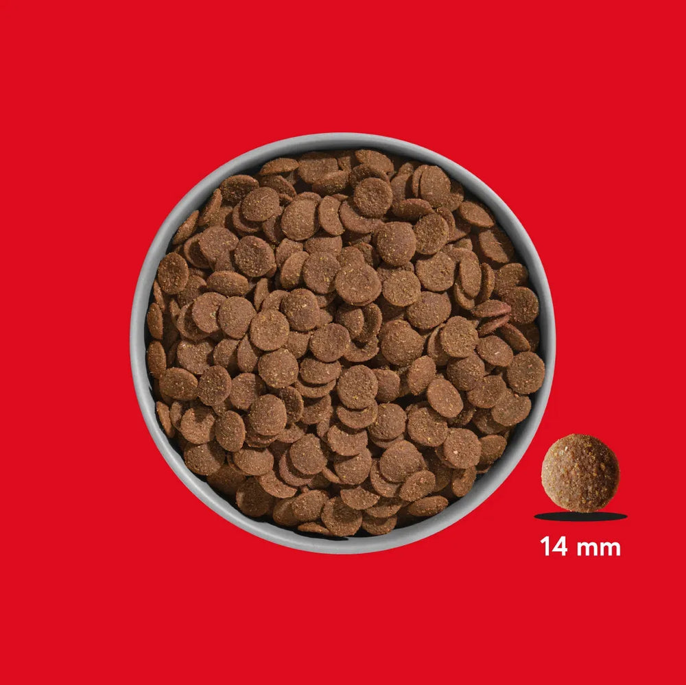 FRED Premium Trockenfutter Rind & Pferd in Schüssel mit braunen Pellets, getreidefrei für aktive Hunde, 30% Fleischanteil.
