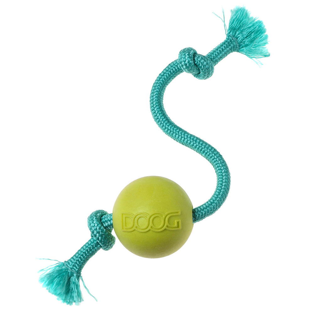 DOOG Fetch-N-Tug Hundespielzeug mit grünem Gummiball und blauem geflochtenem Seil für interaktiven Spielspaß.