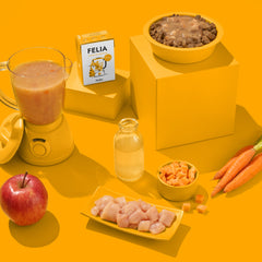 FELIA Smoothie Huhn 2er Set für Katzen, feuchter Snack zur Verbesserung der Flüssigkeitsaufnahme und als schmackhafte Belohnu