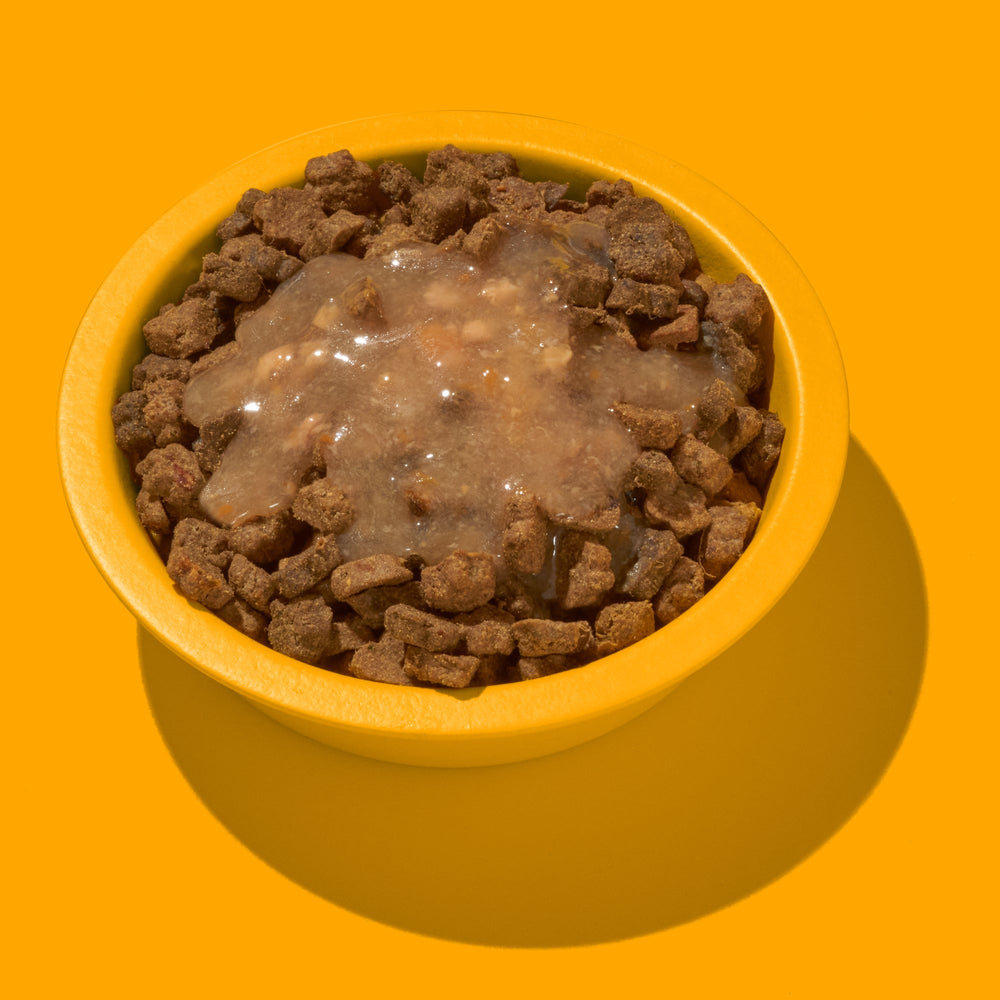 FELIA Smoothie Huhn 2er Set für Katzen, feuchter Snack in gelber Schüssel mit glänzender Soße und braunem Futter.