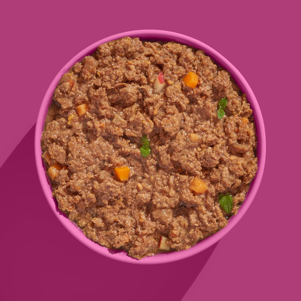 FELIA Pferd Katzenfutter 2er Set mit hohem Fleischanteil, verfeinert mit Obst und Gemüse in bunter Schüssel auf pinkem Hinter