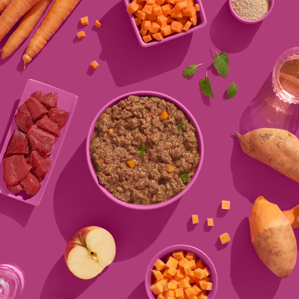 FELIA Pferd 2er Set Katzenfutter mit hohem Fleischanteil, verfeinert mit Obst und Gemüse auf pinkem Hintergrund.