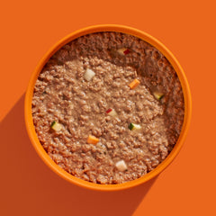 FELIA Pute 2er Set in orange Schüssel mit cremiger, brauner Masse und buntem Gemüse für gesunde Tierernährung.