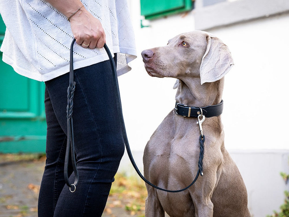 Person mit Weimaraner-Hund an Fettlederleine, freundlich sitzend in heller Bluse und dunkler Jeans.