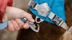 Flagline™ Dog Leash