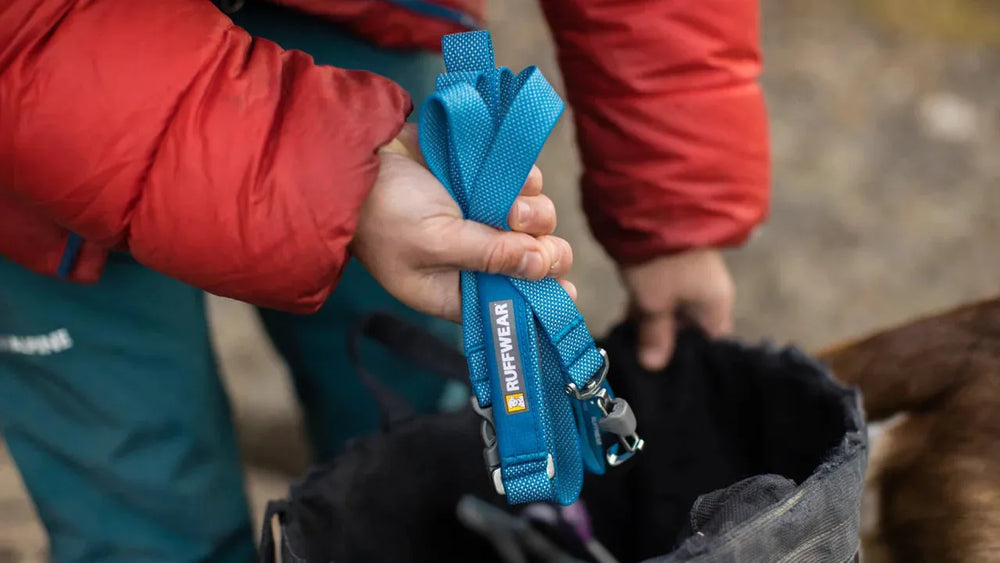 Person mit roter Jacke hält blaue Ruffwear Hundeleine, während sie sie aus einem Rucksack nimmt.