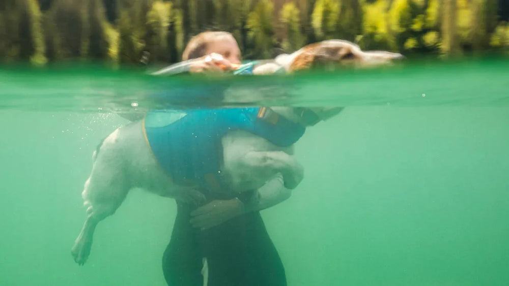 Hund in Float Coat™ Schwimmweste, sicher im Wasser mit Besitzer, umgeben von grünem, klarem Wasser.
