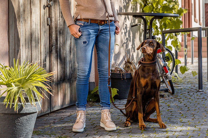 "Person mit heller Kleidung hält eine lederne Umhängeleine, während ein brauner Dobermann neben ihr sitzt."