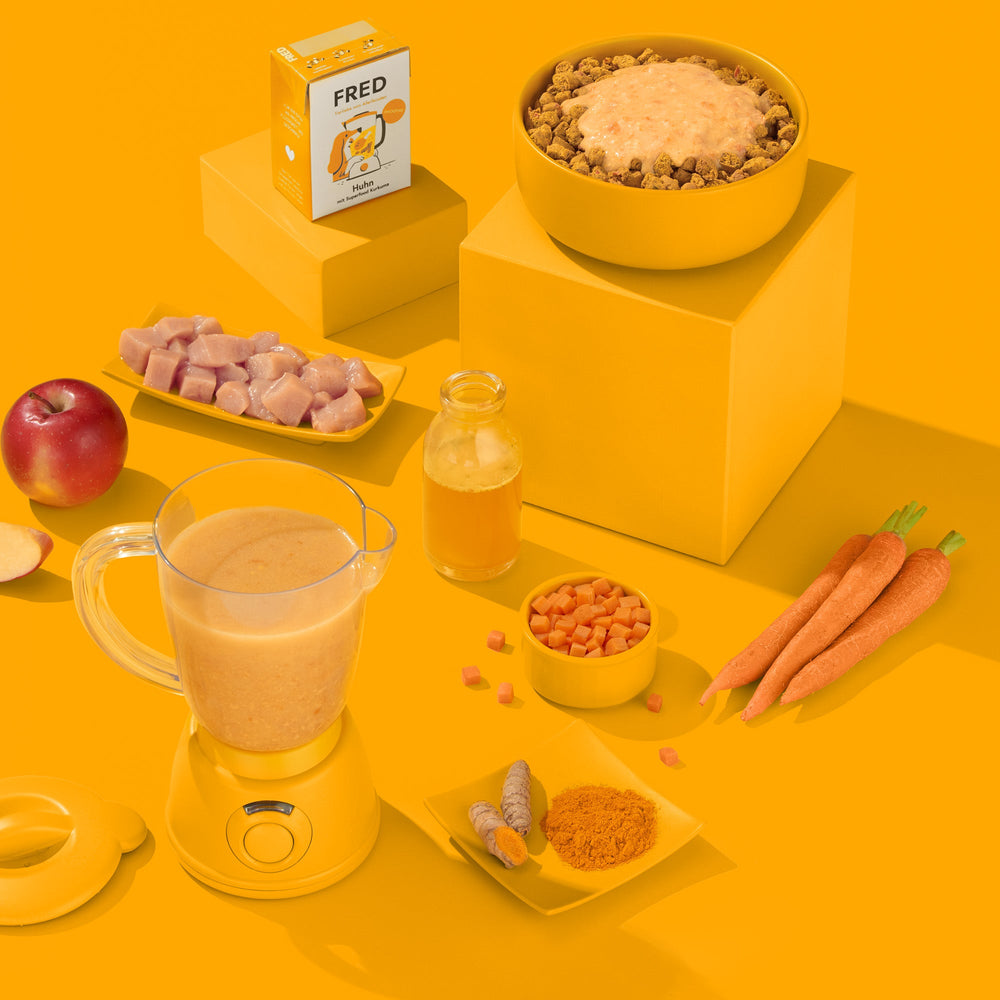 FRED Smoothie Huhn mit Kurkuma 2er Set für Hunde, kalorienarmer Snack, vielseitig als Topping oder gefroren verwendbar.
