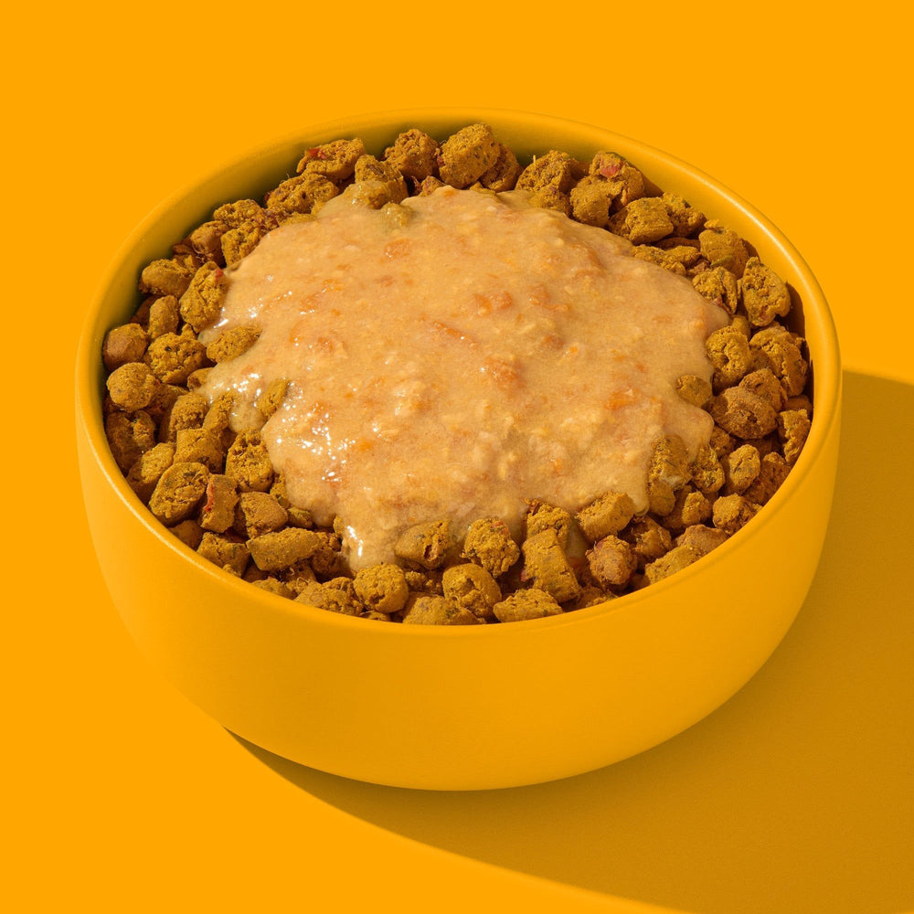 FRED Smoothie Huhn mit Kurkuma in gelber Schüssel, cremige Paste auf knusprigen Futterstücken, idealer Snack für Hunde.