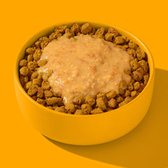 FRED Smoothie Huhn mit Kurkuma in gelber Schüssel, cremige Paste auf knusprigen Futterstücken, idealer Snack für Hunde.