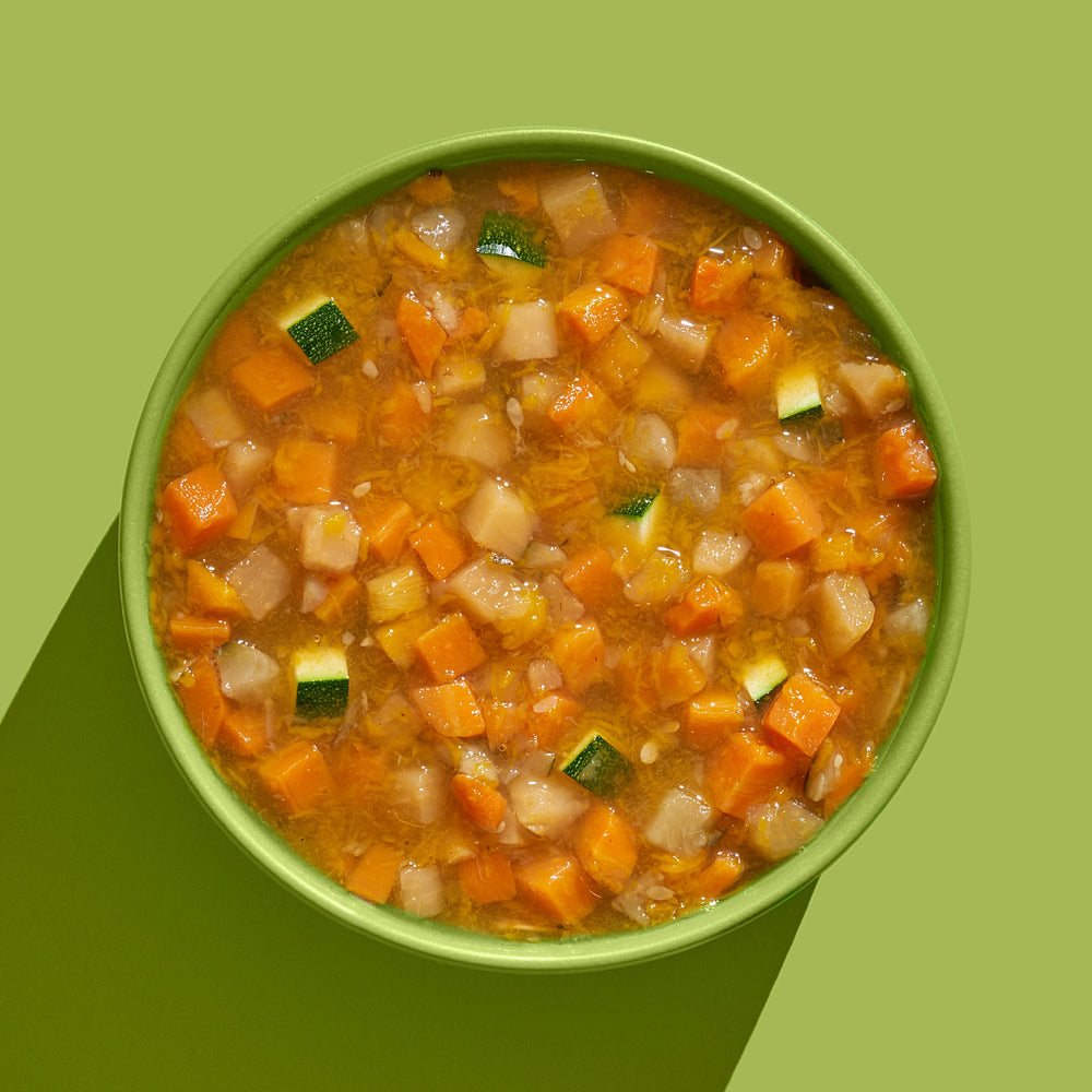 Bunte Schüssel mit FRED Gemüse-Mix für Hunde, bestehend aus frischen, gegarten Gemüsestücken auf hellgrünem Hintergrund.