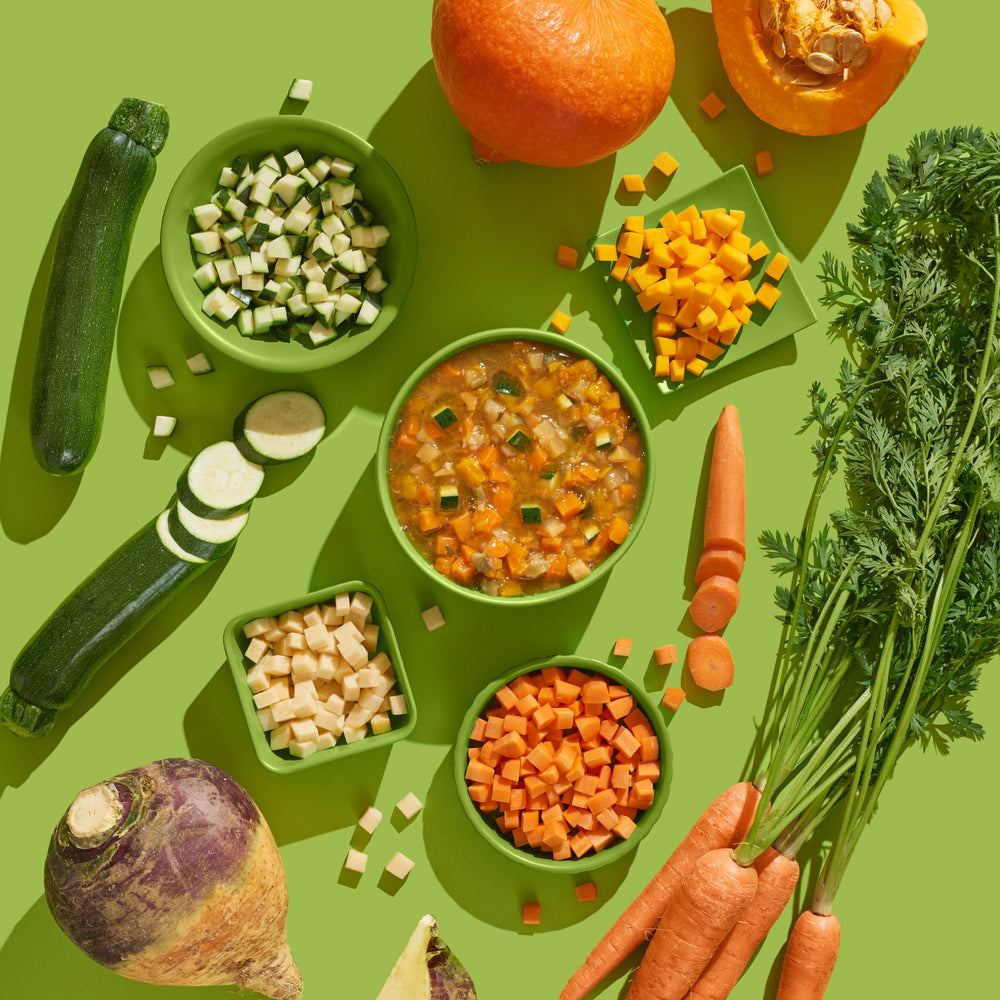 FRED Gemüse-Mix 2er Set mit frischem Gemüse und bunter Gemüsesuppe auf grünem Hintergrund, ideal für Hundeernährung.